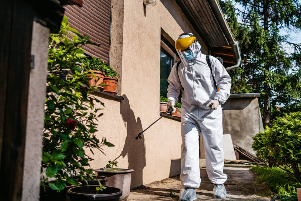 Best Pest Removal Services  in New Stanton, PA